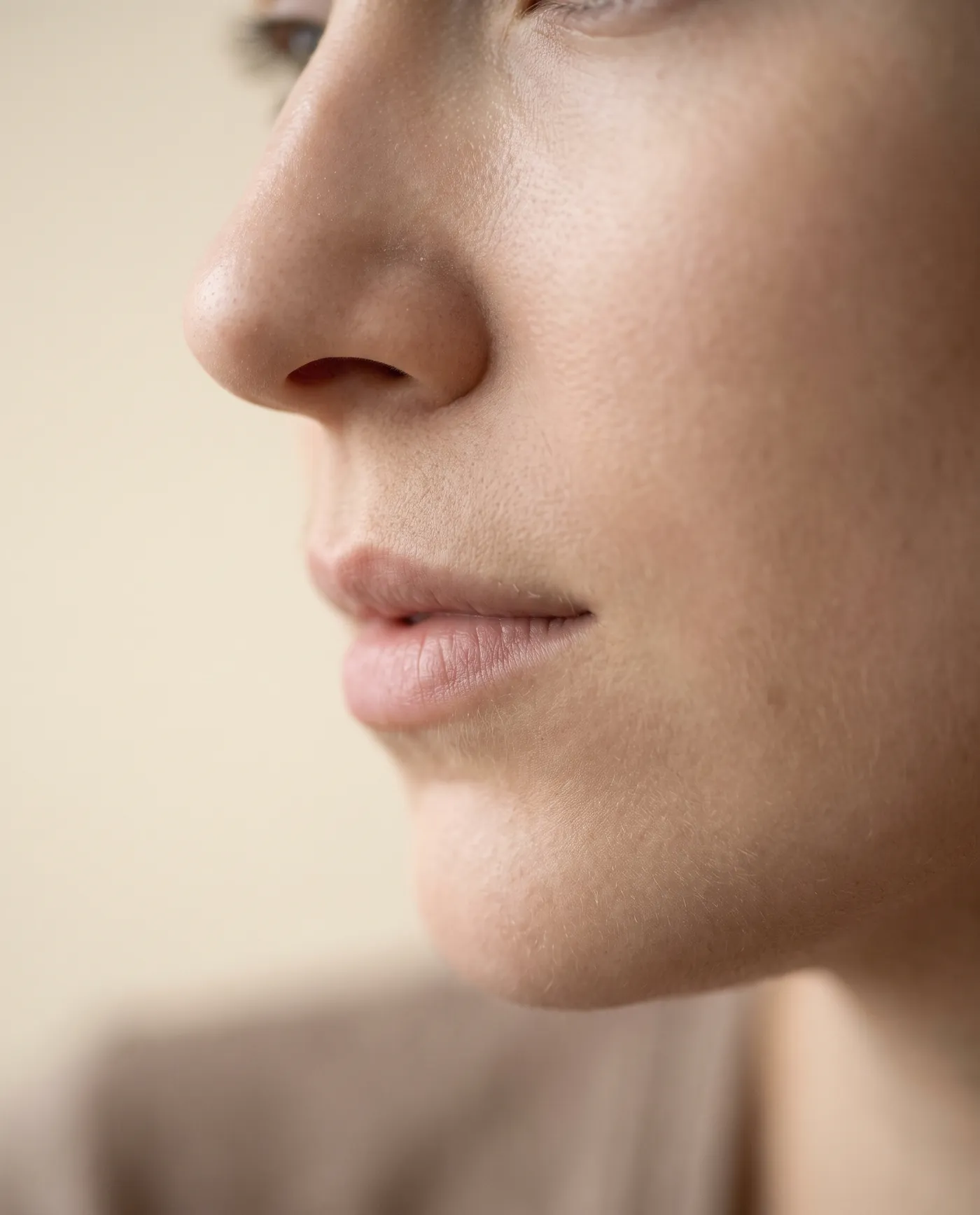 Perfil de una nariz, la respiración y el tabique nasal en la rinoplastia funcional