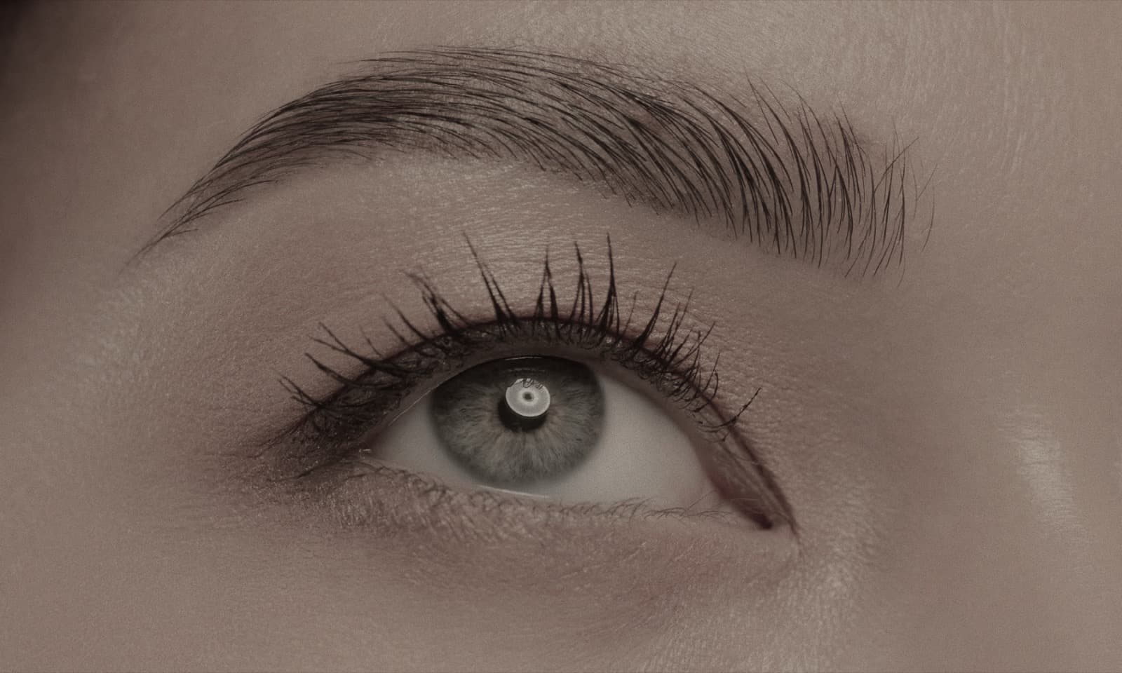 Primer plano de ojo con ceja bien posicionada tras lifting de ceja endoscópico